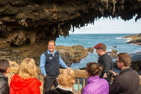 Kangaroo Island In A Day Tour From Adelaide - Hervey Bay Accommodation 28