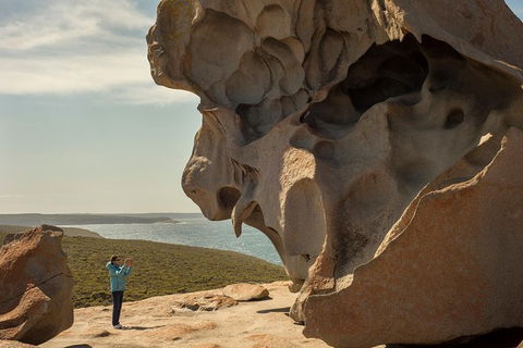 Kangaroo Island In A Day Tour From Adelaide - Hervey Bay Accommodation 30