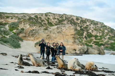 Small-Group Kangaroo Island 4WD Tour From Adelaide - Hervey Bay Accommodation 0
