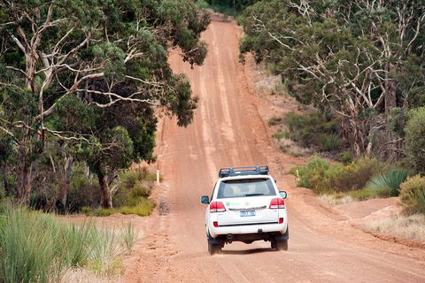 Small-Group Kangaroo Island 4WD Tour From Adelaide - Hervey Bay Accommodation 7