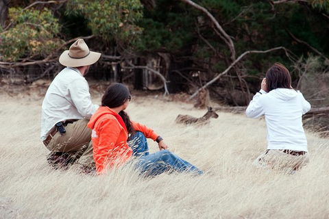 Small-Group Kangaroo Island 4WD Tour From Adelaide - Hervey Bay Accommodation 6