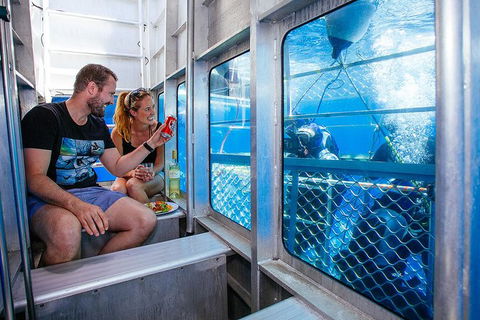 White Shark Tour With Optional Cage Dive From Port Lincoln - Tourism Hervey Bay 4