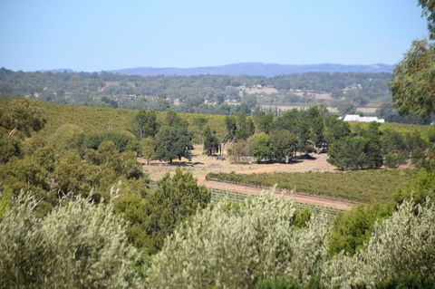 Barossa Valley Food And Wine Tour - Hervey Bay Accommodation 2
