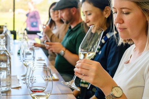 Barossa Valley Food And Wine Tour - Hervey Bay Accommodation 11