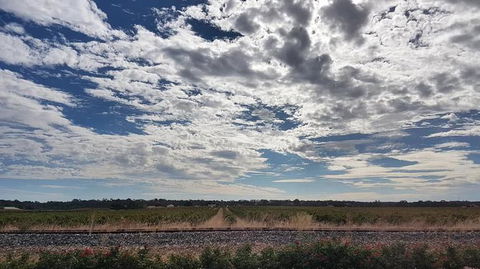 Barossa Valley Full-Day Tour From Adelaide With Maggie Beer Farm - Hervey Bay Accommodation 3