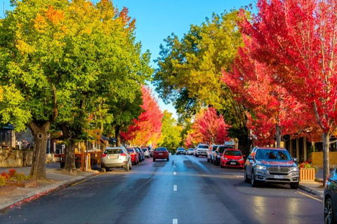 Barossa Valley Full-Day Tour From Adelaide With Maggie Beer Farm - Hervey Bay Accommodation 6
