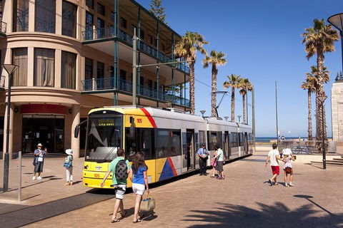 McLaren Vale And Glenelg Wine Tasting And Sightseeing (Half-day Afternoon) - Hervey Bay Accommodation 5