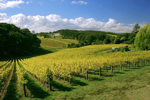 McLaren Vale And Glenelg Wine Tasting And Sightseeing (Half-day Afternoon) - Hervey Bay Accommodation 6
