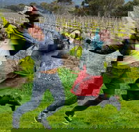 Mclaren Vale Luxury Full Day Small Group Wine Tour - Hervey Bay Accommodation
