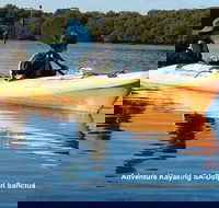 Adelaide Dolphin Sanctuary and Ships Graveyard Kayak Tour - Hervey Bay Accommodation