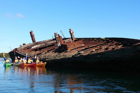 Adelaide Dolphin Sanctuary And Ships Graveyard Kayak Tour - Hervey Bay Accommodation 1