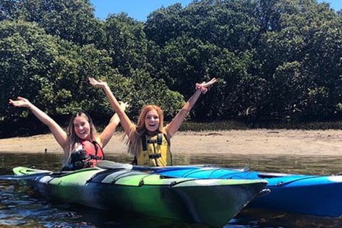 Adelaide Dolphin Sanctuary And Ships Graveyard Kayak Tour - Hervey Bay Accommodation 4