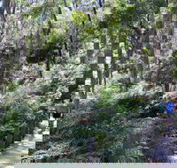 Self-Guided Waterfall Gully to Mount Lofty Hike from Adelaide - Hervey Bay Accommodation