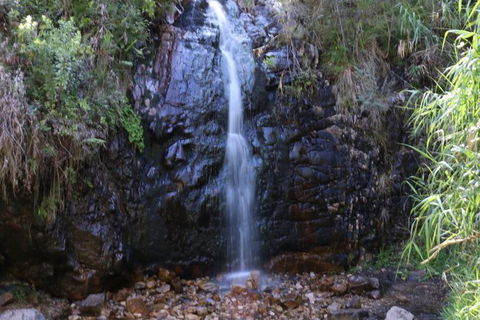 Self-Guided Waterfall Gully To Mount Lofty Hike From Adelaide - Hervey Bay Accommodation 2