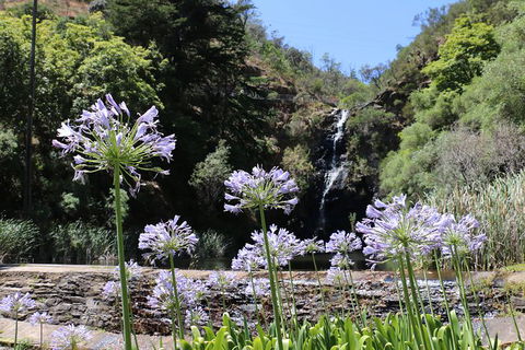 Self-Guided Waterfall Gully To Mount Lofty Hike From Adelaide - Hervey Bay Accommodation 6