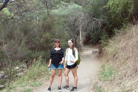 Self-Guided Waterfall Gully To Mount Lofty Hike From Adelaide - Hervey Bay Accommodation 4