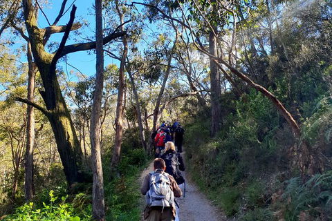 Self-Guided Waterfall Gully To Mount Lofty Hike From Adelaide - Hervey Bay Accommodation 7