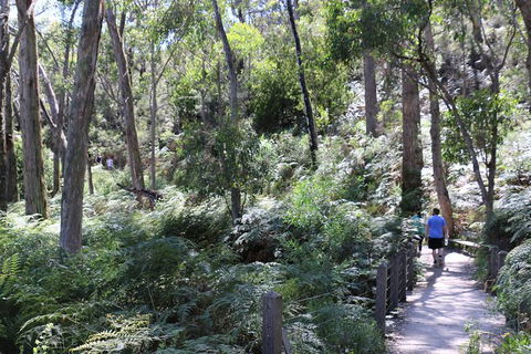 Self-Guided Waterfall Gully To Mount Lofty Hike From Adelaide - Hervey Bay Accommodation 3