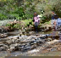 Small Group Bush Walk  BBQ with Wine Day Trip from Adelaide - Hervey Bay Accommodation