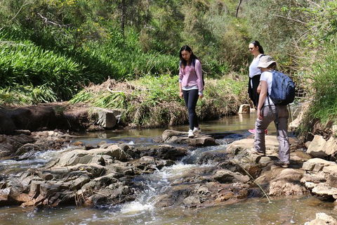 Small Group Bush Walk & BBQ With Wine Day Trip From Adelaide - Hervey Bay Accommodation 0