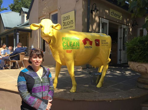 Adelaide Hills And Hahndorf Tour From Adelaide With Wine And Cheese Tasting - Hervey Bay Accommodation 2