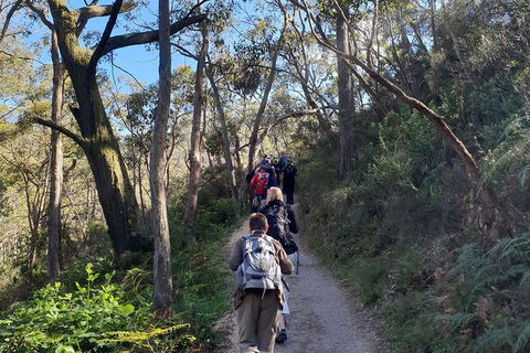 Mount Lofty Hike And Cleland Wildlife Park Day Trip From Adelaide - Hervey Bay Accommodation 0