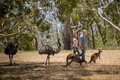 Mount Lofty Hike And Cleland Wildlife Park Day Trip From Adelaide - Hervey Bay Accommodation 3