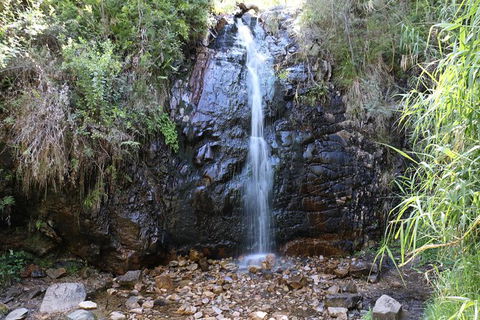 Mount Lofty Hike And Cleland Wildlife Park Day Trip From Adelaide - Hervey Bay Accommodation 7