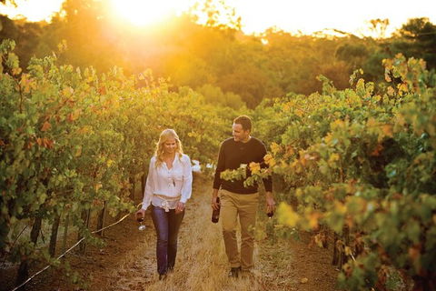 Barossa Valley Highlights From Adelaide Including Wine And Cheese Tasting - Hervey Bay Accommodation 11