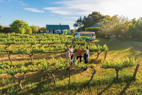 Barossa Valley Highlights From Adelaide Including Wine And Cheese Tasting - Hervey Bay Accommodation 14