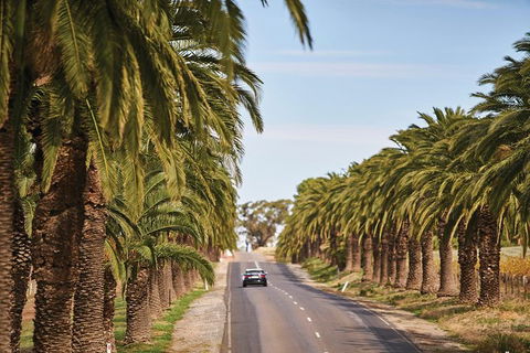 Barossa Valley Highlights From Adelaide Including Wine And Cheese Tasting - Hervey Bay Accommodation 3