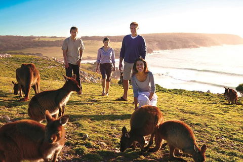 5-Day Adelaide And Kangaroo Island Tour Including Barossa Valley Wine Tasting - Hervey Bay Accommodation 0