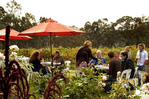 Clare Valley Intimate Winery Tour By Private Limo From Adelaide - Hervey Bay Accommodation 4
