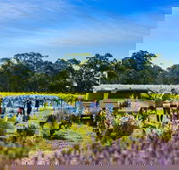 Micro-Group Barossa Valley Wine Tour from Adelaide - Hervey Bay Accommodation