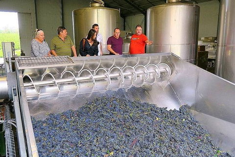 Micro-Group Barossa Valley Wine Tour From Adelaide - Hervey Bay Accommodation 4