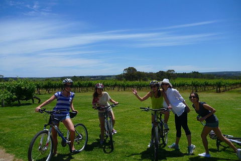 McLaren Vale Wine Tour By Bike - Hervey Bay Accommodation 1