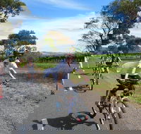 McLaren Vale Wine Tour by Bike - Hervey Bay Accommodation