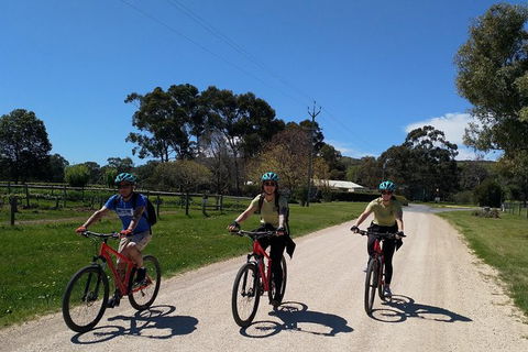 McLaren Vale Wine Tour By Bike - Hervey Bay Accommodation 8
