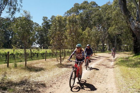 McLaren Vale Wine Tour By Bike - Hervey Bay Accommodation 11