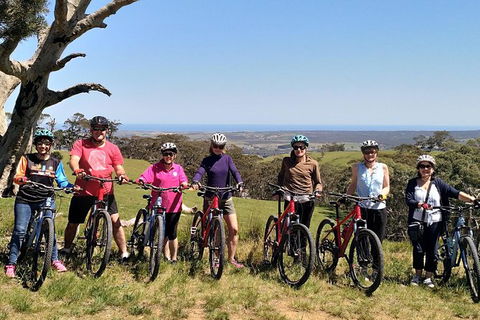 McLaren Vale Wine Tour By Bike - Hervey Bay Accommodation 6
