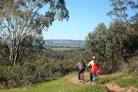 McLaren Vale Wine Tour By Bike - Hervey Bay Accommodation 13