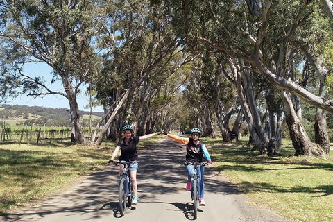 McLaren Vale Wine Tour By Bike - Hervey Bay Accommodation 14