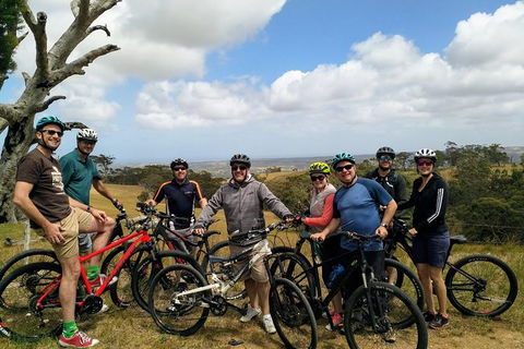 McLaren Vale Wine Tour By Bike - Hervey Bay Accommodation 7