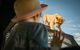 Lions 360 Experience And A Day At Monarto Safari Park - thumb 0