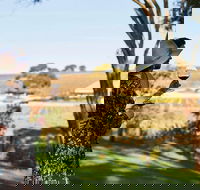 Micro-Group McLaren Vale Wine Tour from Adelaide - Hervey Bay Accommodation