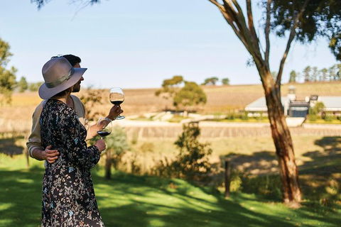 Micro-Group McLaren Vale Wine Tour From Adelaide - Hervey Bay Accommodation 0