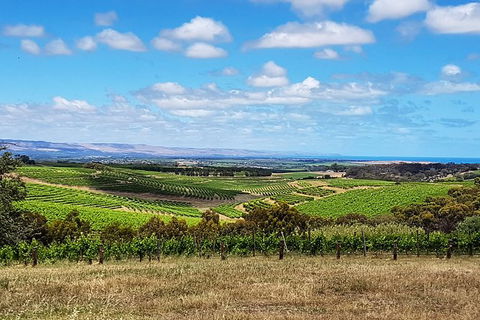 Micro-Group McLaren Vale Wine Tour From Adelaide - Hervey Bay Accommodation 4