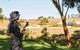 Micro-Group McLaren Vale Wine Tour From Adelaide - thumb 7
