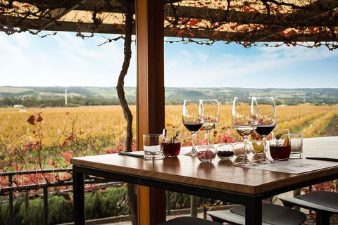 Micro-Group McLaren Vale Wine Tour From Adelaide - Hervey Bay Accommodation 2