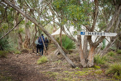 2-Day Kangaroo Island 4WD Small-Group Tour From Adelaide - Hervey Bay Accommodation 3